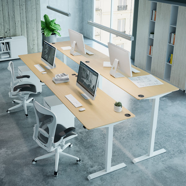 ConSet Electric Adjustable Desk 501-33