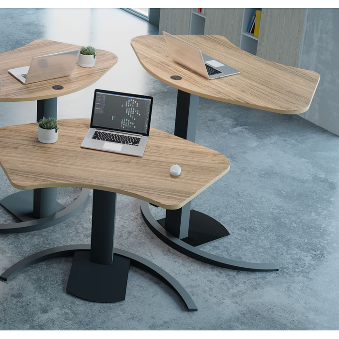 ConSet Electric Adjustable Desk 501-19