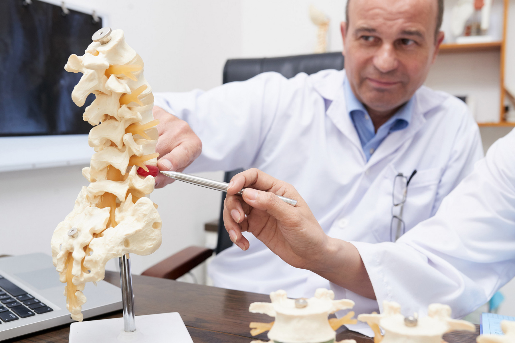 Doctor explaining the anatomy of the spine