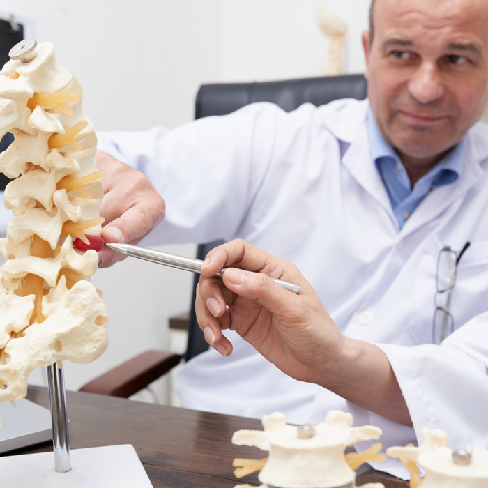 Doctor explaining the anatomy of the spine