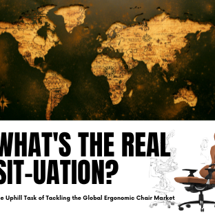 The Uphill Task of Tackling the Global Ergonomic Chair Market: What's the Real Sit-uation?