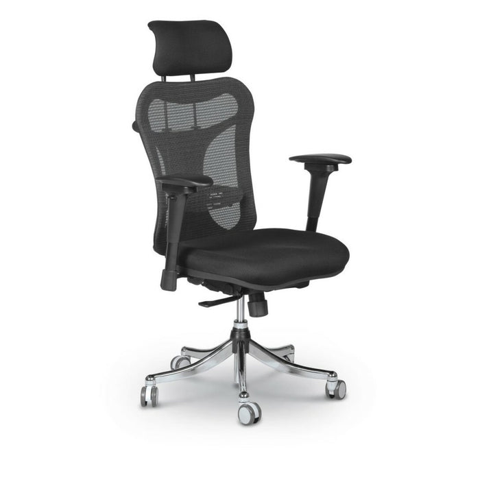 MooreCo Ergo EX Chair